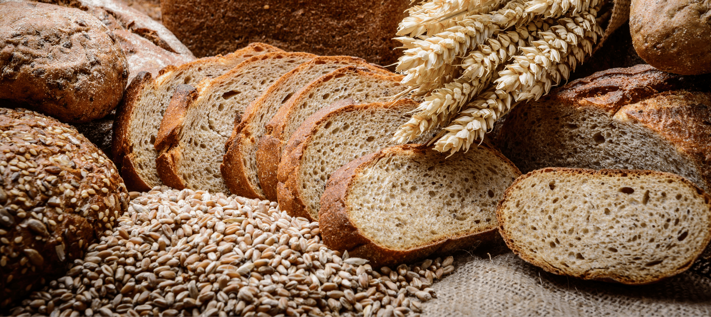 Premium artisanal bakery products